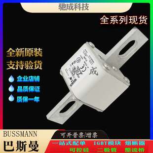 巴斯曼170M4613 170M4614 170M4615 厂价供应出厂价格 原装熔断器
