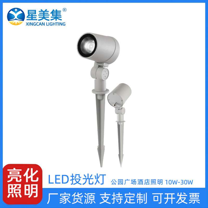 10W20W30W户外花园景观灯LED户外草坪灯室外七彩照树灯防水投光灯