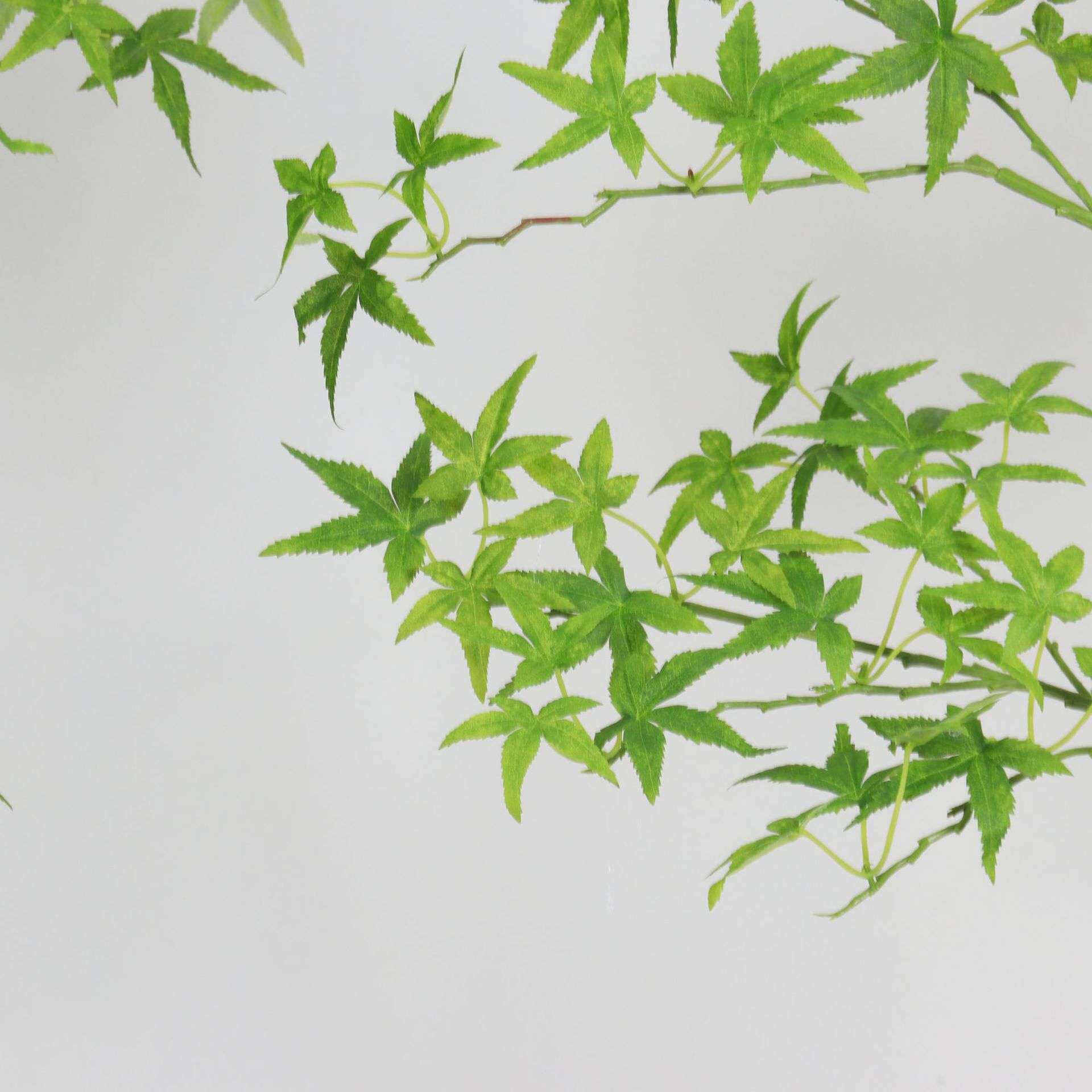 新款仿真绿植仿真枫叶树网红绿枫树酒店商场绿植假树室内外装饰图片
