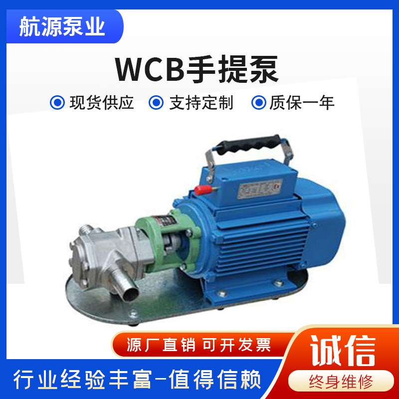 WCB手提齿轮泵 微型卸柴油液压机油220v不锈钢 电动抽油泵