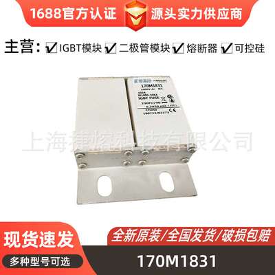 170M1831 170M1842 170M1843 快速熔断器 电子元器件标准封装现货