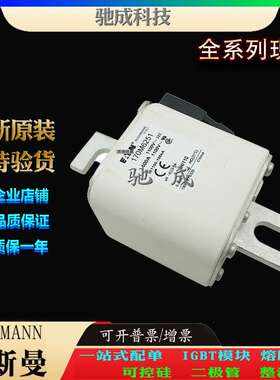 巴斯曼170M6251 170M6252 170M6253 大量现货 销售 快速保险丝