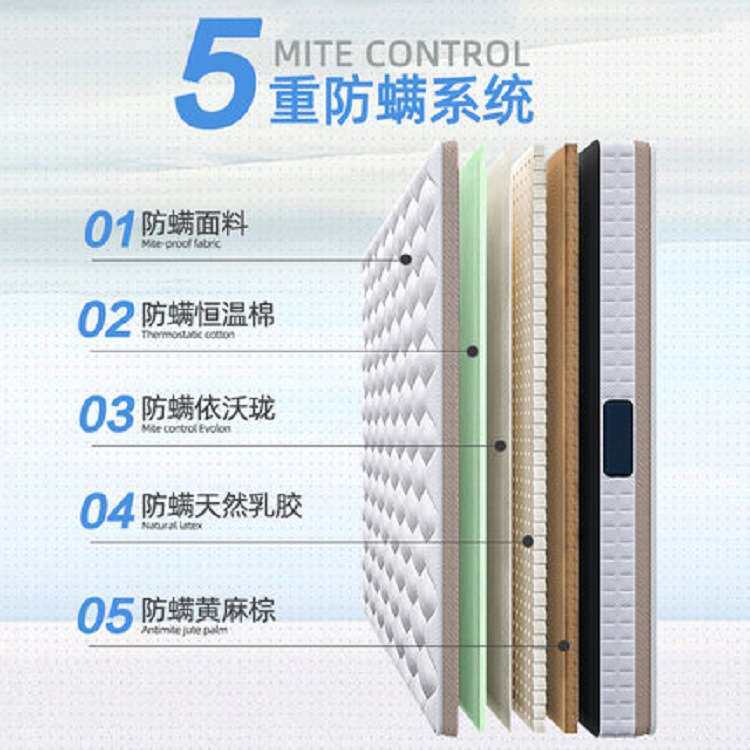 酒店单人床民宿家用垫乳胶棕垫床1.8m1.5米椰棕弹簧床护脊高弹力