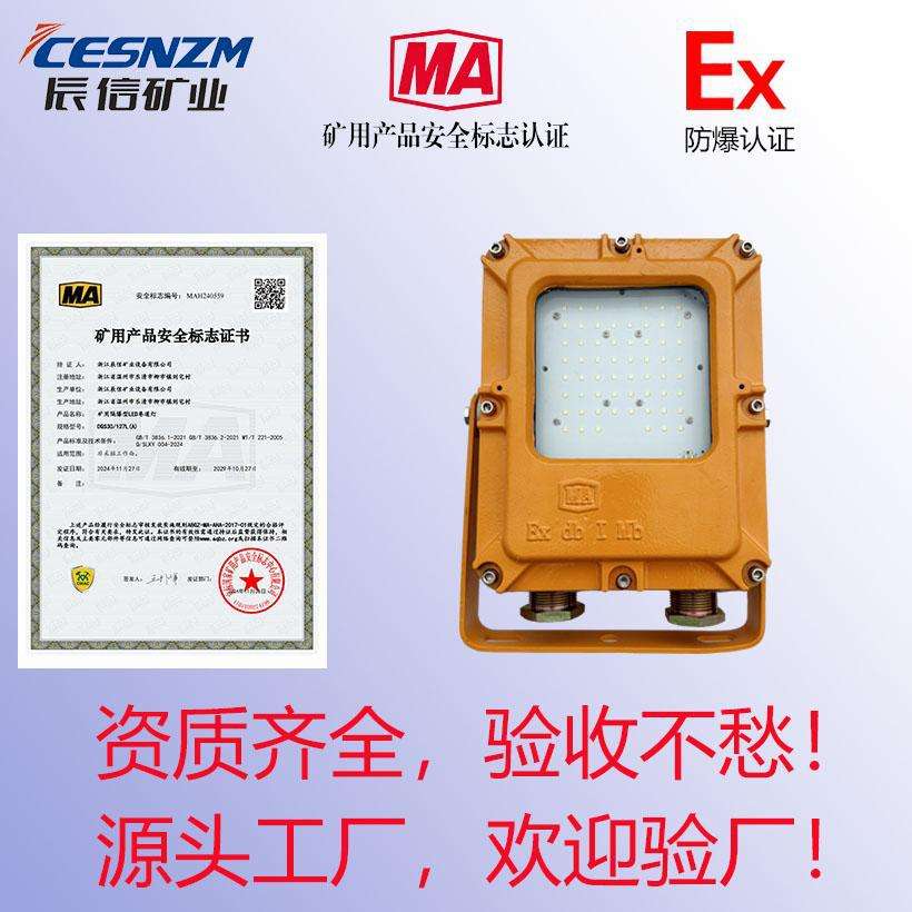 防爆泛光灯石油化工防爆灯仓库厂房高天棚灯平台照明防爆灯配件MA
