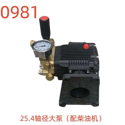 洗特25.4轴径大泵（配柴油机）（相距8对角16）-0981号