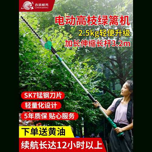 电动高枝绿篱机加长杆修剪机充电式园林绿化高空剪桂花树锂电进口