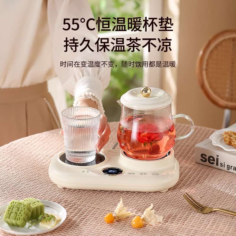 养生杯全玻璃双炉0胶水办公室用小容量花茶壶甜品煮茶水果茶烧水