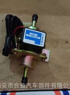 燃油泵 电子泵EP500 直管 汽车燃油泵 汽车配件
