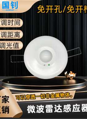 厂家 感应开关 APH-LD183可调时间光控微波感应器路灯感应开关