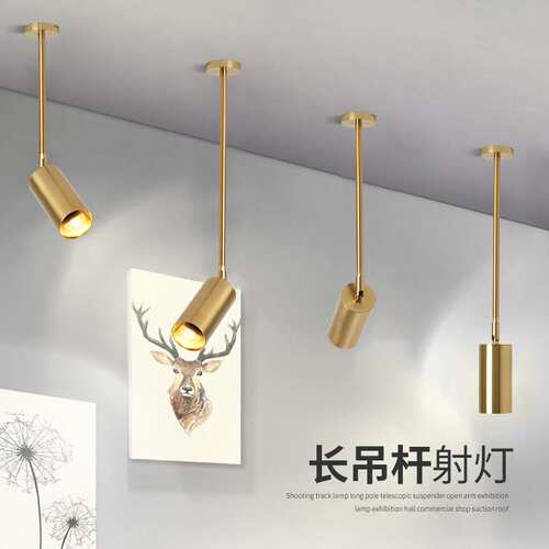 长杆吊灯店铺 商用服装店美甲店吊灯单头金色吊杆吊灯led轨道吊灯