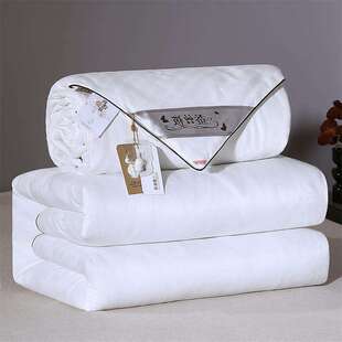 2026新款小提花蚕丝被冬被春秋被子冬季被芯拉链款双胎被子母被