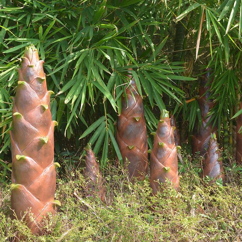 玻璃钢竹笋雕塑 户外公园庭院绿植景观田园农场植物雕塑蔬菜摆件
