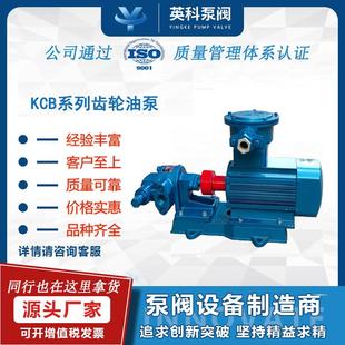 齿轮泵KCB55防爆液压油小型铸铁电动304不锈钢微型涂料齿轮油泵