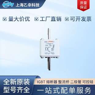 巴斯曼熔断器  170M4015 170M4016 170M4017 170M4018 170M4019