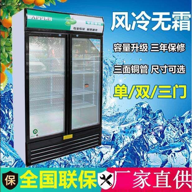 冷藏展示柜保鲜饮料柜商用超市冰箱小型啤酒柜立式双门冰柜