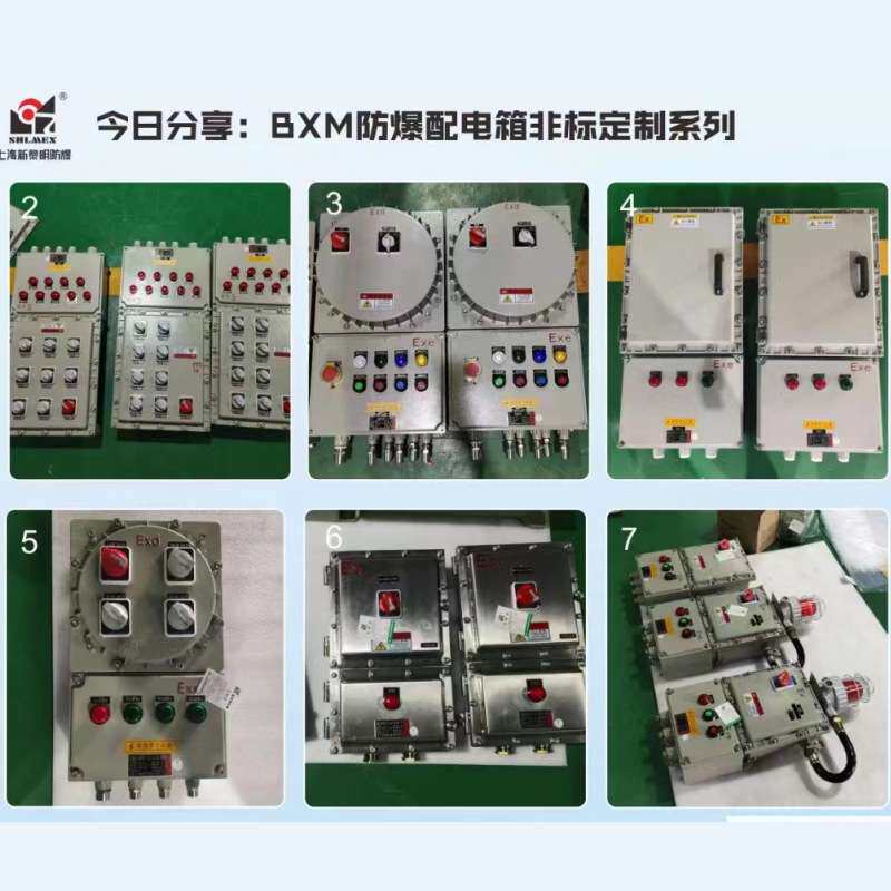 防爆照明动力控制箱检修箱 配电控制柜 电源箱 新黎明防爆配电箱