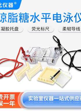 北京六一琼脂糖水平电泳仪DYCP-31CN实验室生物分子试验电泳槽