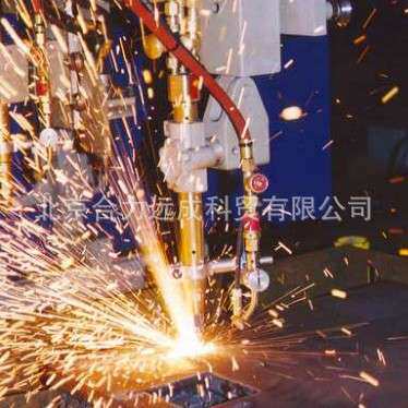 梅塞尔回火器、阻火器,回火防止器