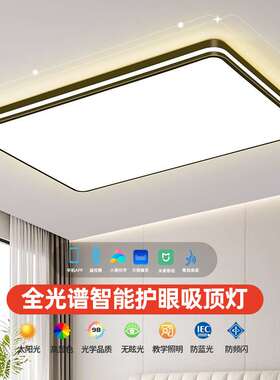 客厅主灯2025新款大气简约现代LED吸顶灯家用卧室灯中山灯具套餐