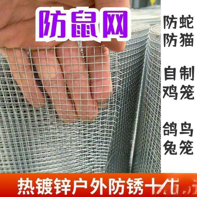铁丝网热镀锌小孔加密防老鼠铁网格台防护鸽鸟兔笼网户外养殖网