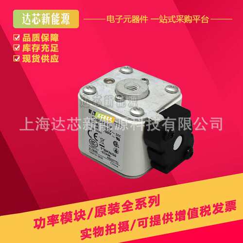 170M4464 170M4465 170M4466 170M4467 170M4468 170M4469熔断器