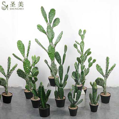仿真仙人掌大型热带假植物北欧仙人柱假绿植室内场景橱窗装饰摆件