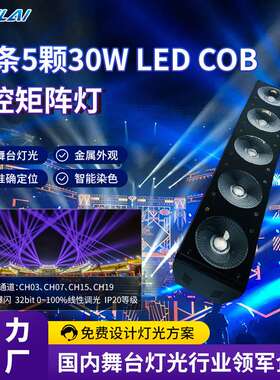长条5颗30W LED cob点控矩阵灯全彩3 合1RGB光束染色洗墙灯RDM