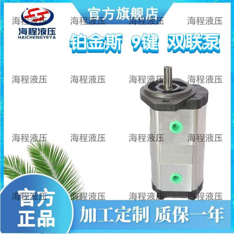 2CBWKA-F3/F3系列 雷沃G80/G70/G60铂金斯发动机配套双联泵液压泵