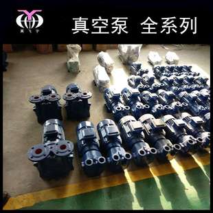真空泵 飛宇泵業(yè) 真空提取真空浸漬真空蒸餾 水環(huán)式 2BV SZB