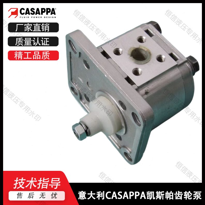 11//P196APP.马达7/8CA22L齿轮泵/3//M20/16../10AS/./14.59齿轮4