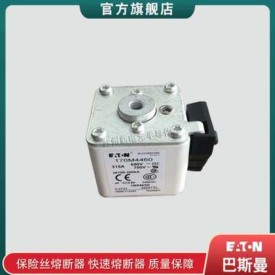 170M4438 4439 4440 4441 4442 巴斯曼bussmann快速熔断器保险丝