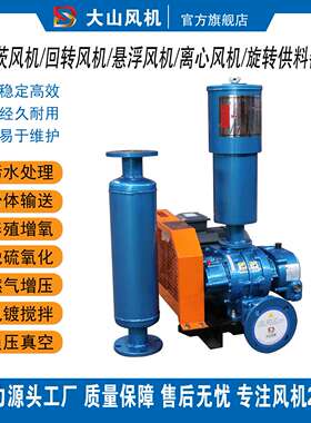 维修销售罗茨风机SSR50SSR65SSR80SSR100SSR125SSR150SSR200RR295