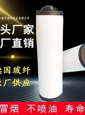 BUSCH普旭排气过滤器油雾分离器0532140157兼容:RA0025-0100F滤芯