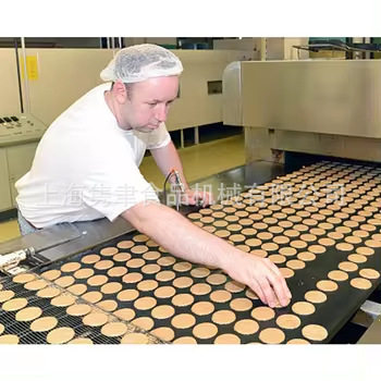 智能控温饼干烘烤线 自动上料设备厂家 交钥匙工程饼干全套生产线