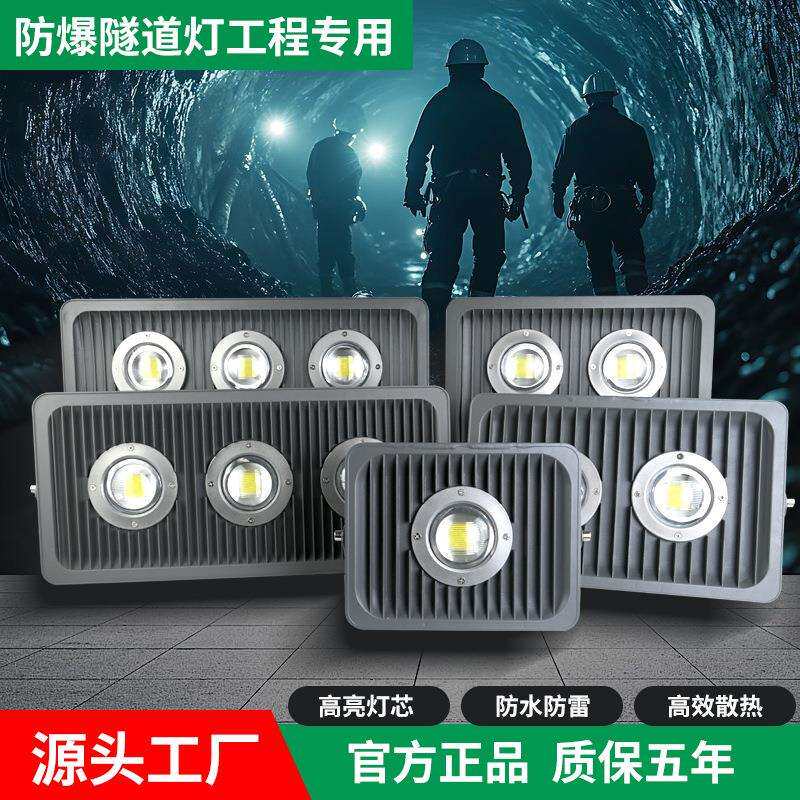 led防爆灯三防隧道灯100w200w低压36v加油站厂房工业投光灯