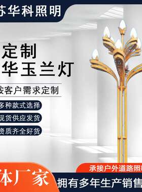 供应LED玉兰灯中华灯户外6米8米市政道路照明路灯常规多灯头景观