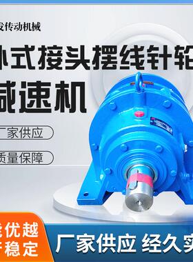 卧式摆线针轮减速机BWD微型接头针轮减速箱XWD行星减速机