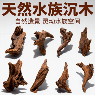 鱼缸沉木20-30cm造景摆件小号天然树状紫柚木龟晒南美