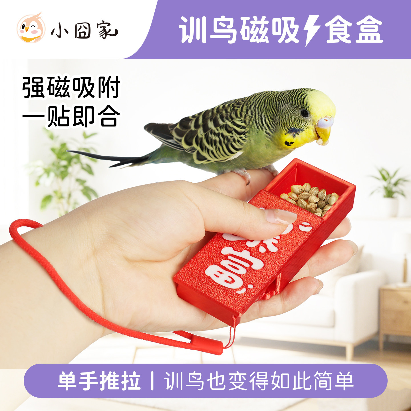 鹦鹉训鸟磁吸食盒奖励零食道具小太阳手养训练神器专用互动喂食器