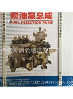 开普喷油泵BHF4PL080040 4PL1231-80-750 4PL1266 4PL1209 3PL151