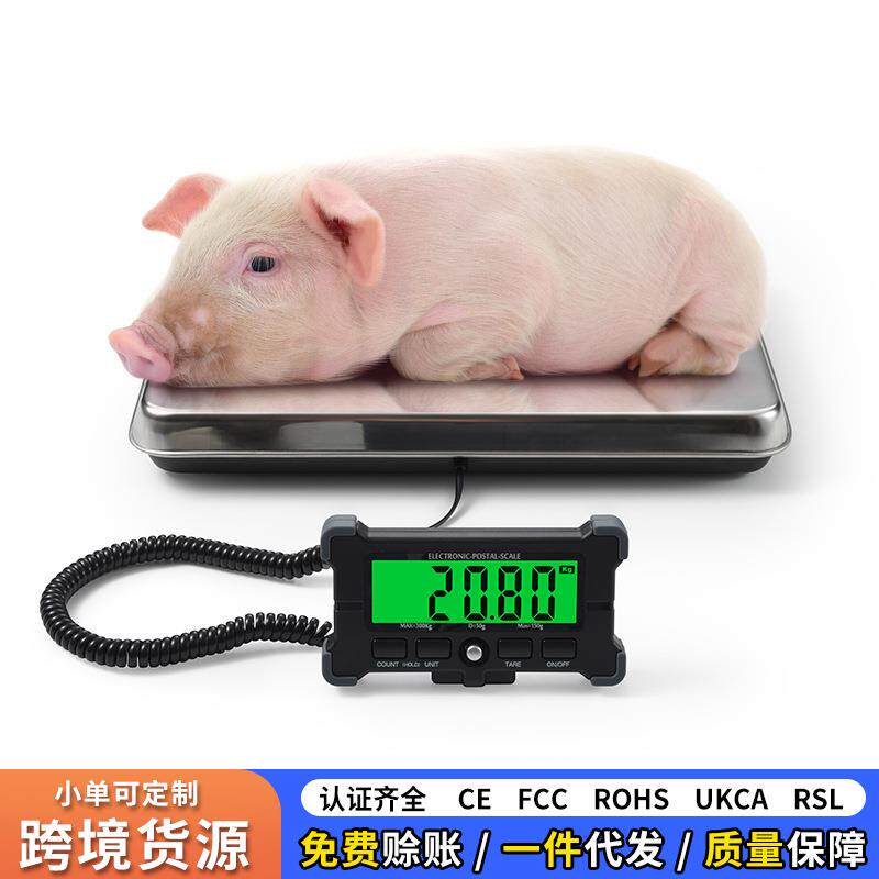 跨境出口邮政秤 小型宠物体重秤200KG不锈钢物流电子秤分体快递秤