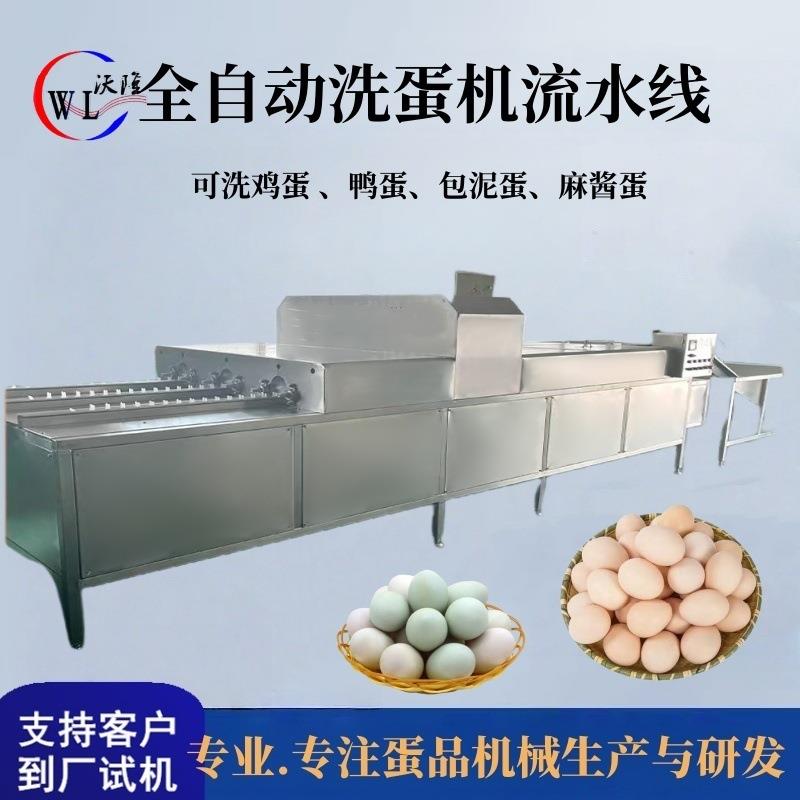 大型全自动洗蛋机包灰蛋清洗皮蛋清洗机鸡蛋鸭蛋不锈钢洗蛋设备