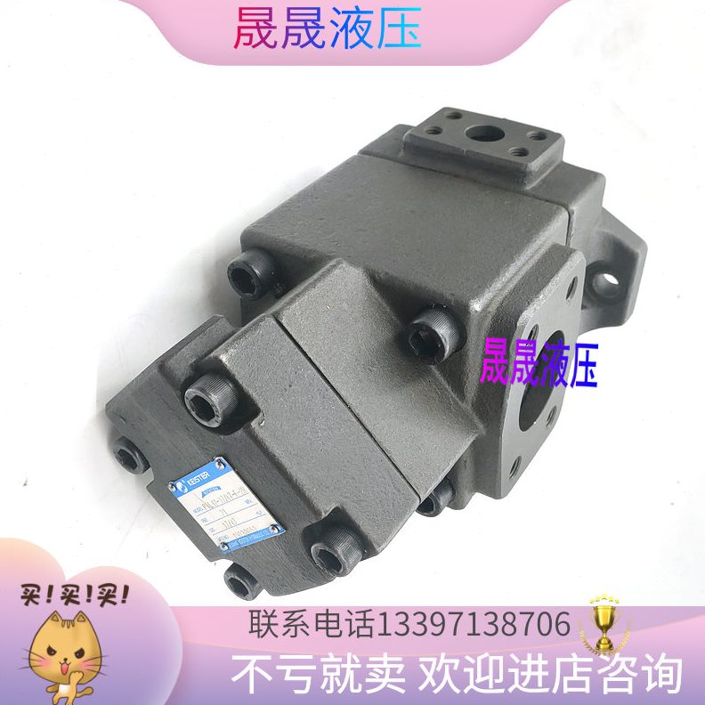 I油泵叶片泵ERP12 -F53/V2 3RR  9 12765KE4133326  54-凯斯特ST