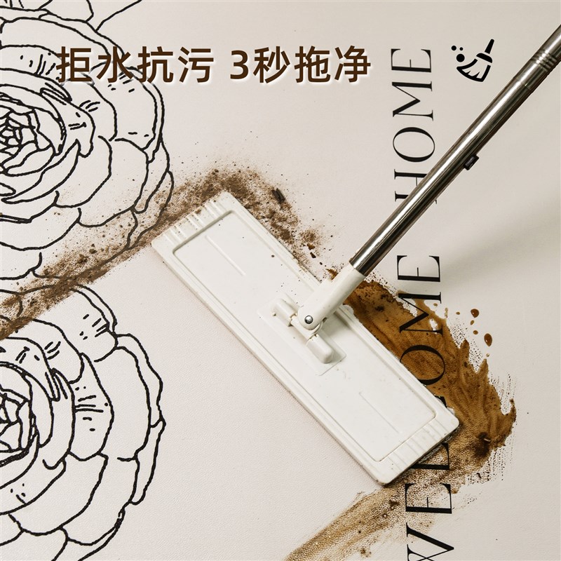 入户门地垫法式进门门口pvc家用脚垫耐脏防滑门垫可擦洗玄关地毯
