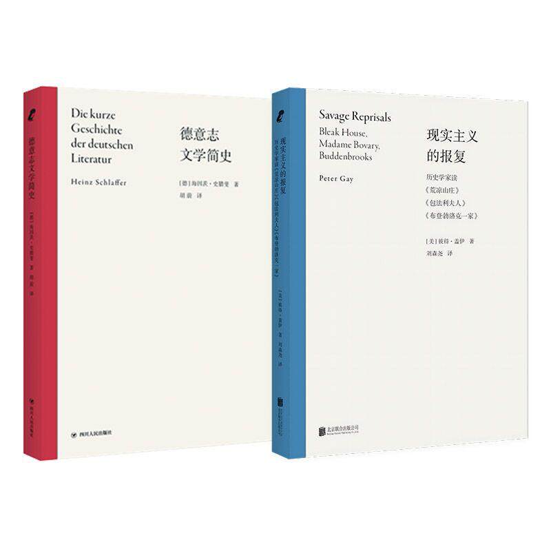 【新华正版】 “论文学”文学批评及导读（现实主义的报复德意志文学简史）（当当专供） 德海因茨史腊斐著  胡蔚译 四川人民出版
