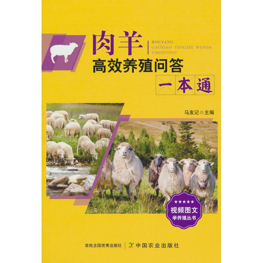 【新华正版】 肉羊高效养殖问答一本通 马友记 编 中国农业出版社有限公司