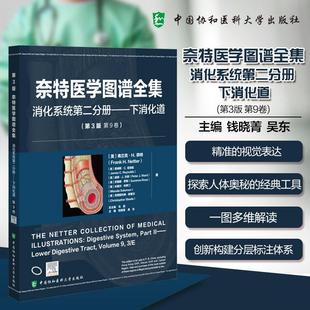 錢曉菁吳東 新華正版 奈特醫(yī)學圖譜全集 第9卷 HNetter 美弗蘭克H奈特Frank 消化系統(tǒng)第二分冊——下 主 等 著 消化道第3版