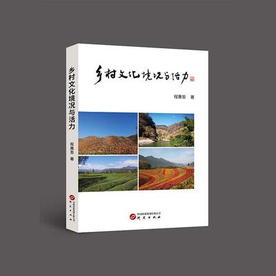 【新华正版】 乡村文化境况与活力服务乡村振兴与文化强国建设 大量调研信息表 适用于专业人员研究参照 程惠哲 著 研究出版社