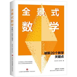 【新华正版】 全景式数学 破解20个教学关键点 张宏伟谈有恒 著 济南出版社