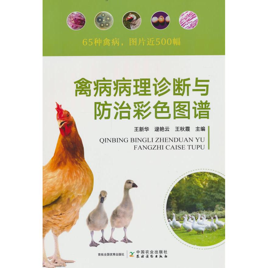 【新华正版】 禽病病理诊断与防治彩色图谱 王新华 著 中国农业出版社有限公司